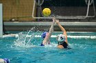 WWPolo vs CC  Wheaton College Women’s Water Polo compete in their sports inaugural match vs Connecticut College. - Photo By: KEITH NORDSTROM : Wheaton, water polo, inaugural